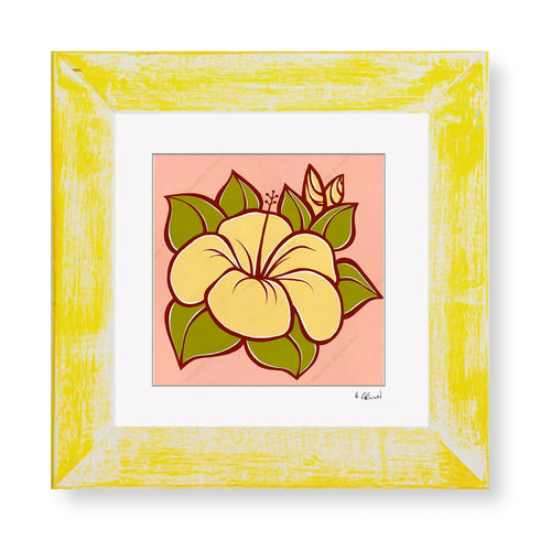 HIBISCUS